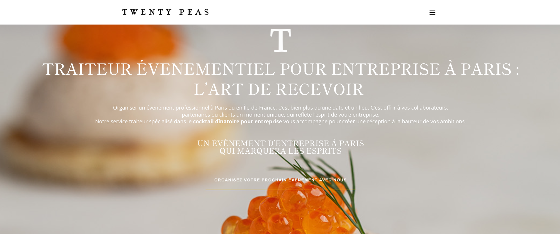 twenty creation site internet Agen