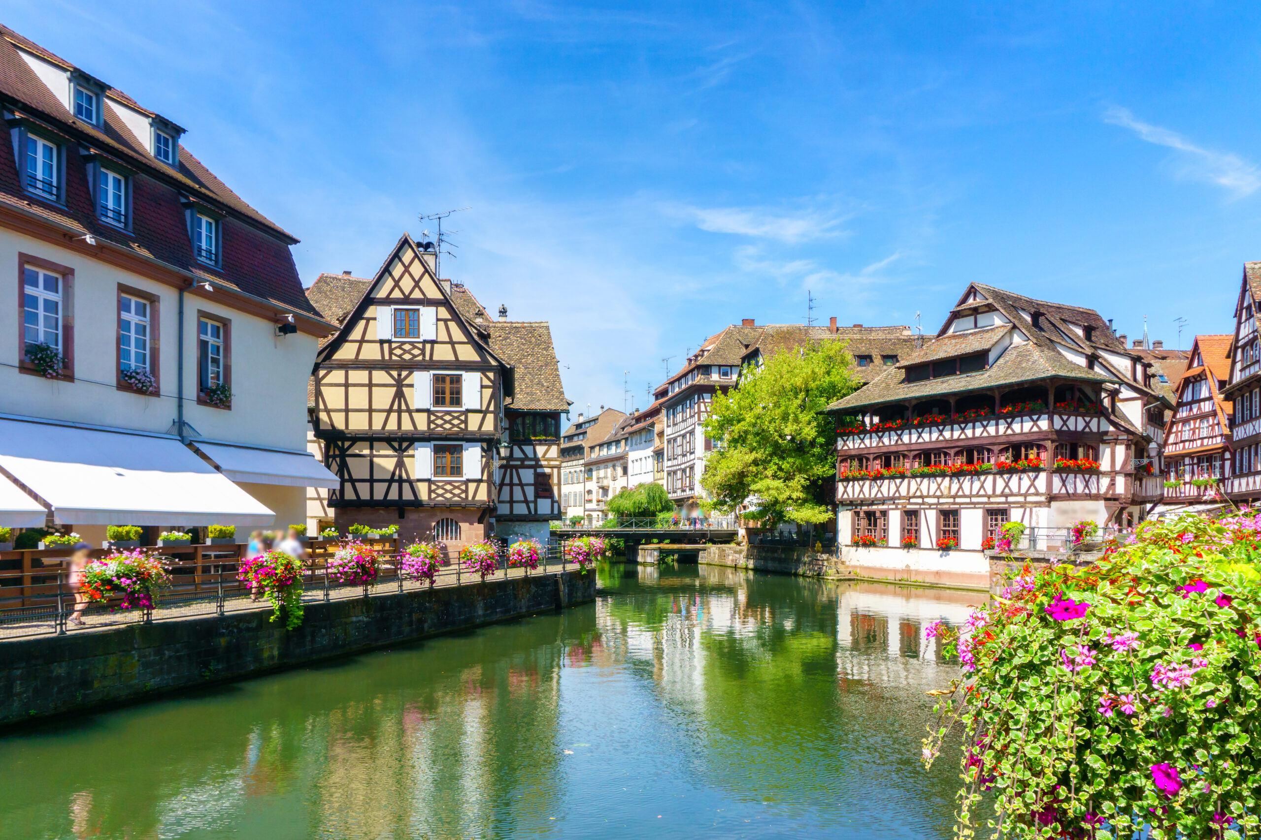 Consultant seo Strasbourg