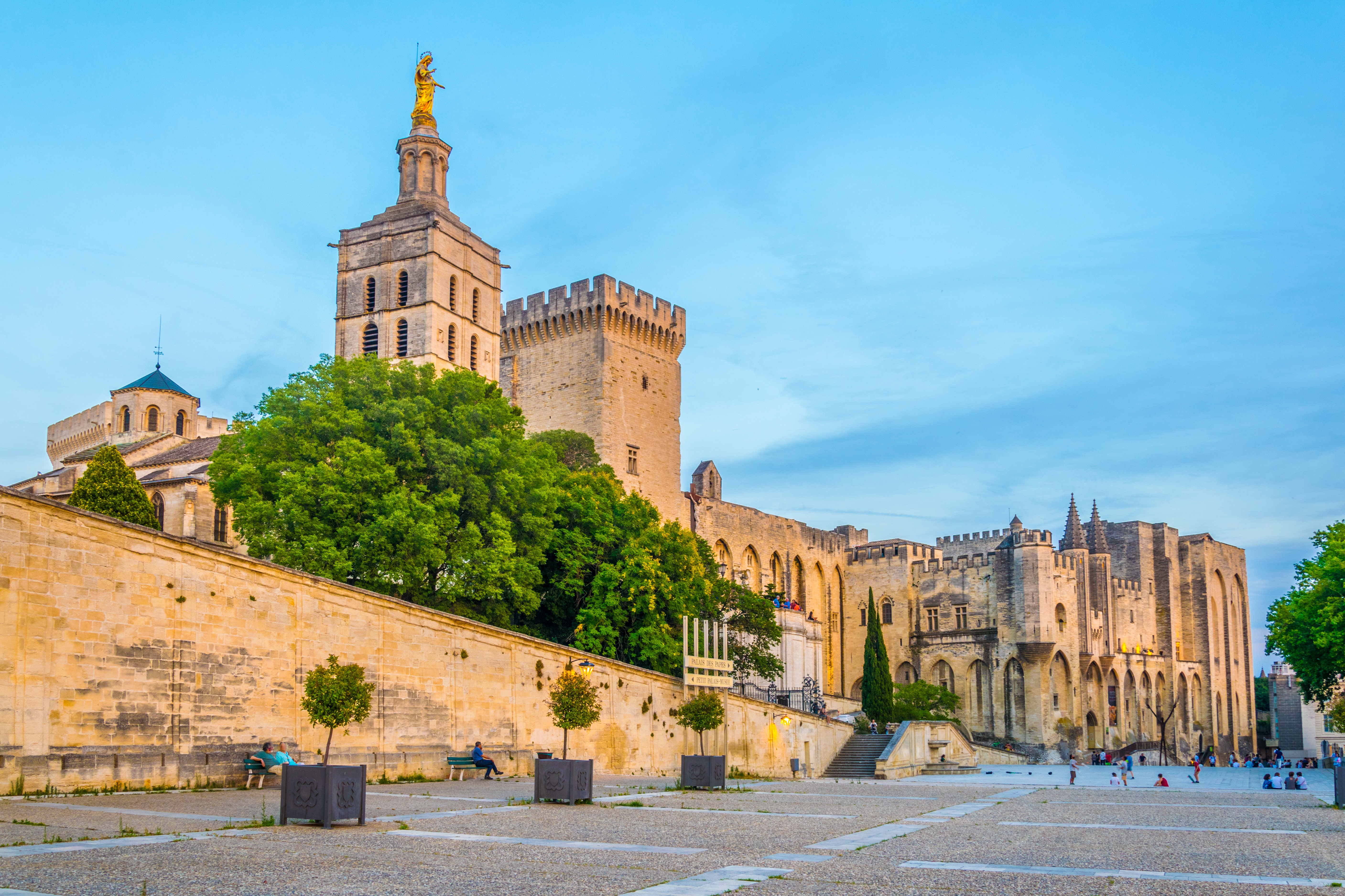 Consultant SEO Avignon
