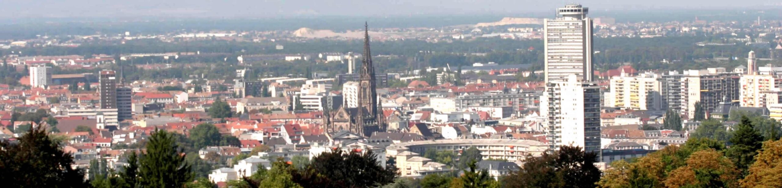 consultant-seo-mulhouse Consultant SEO Mulhouse
