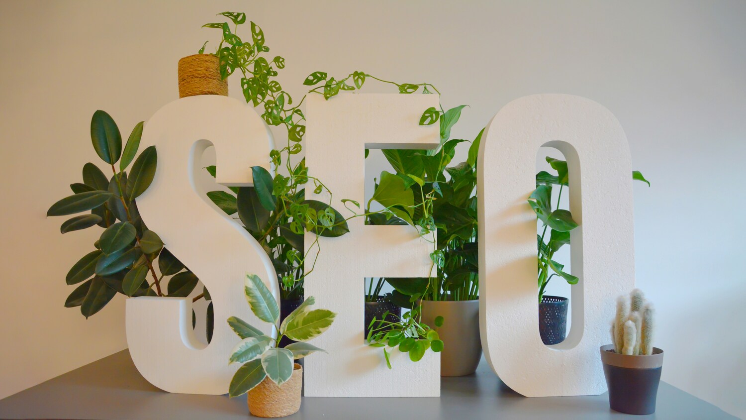SEO LOCAL SEO local