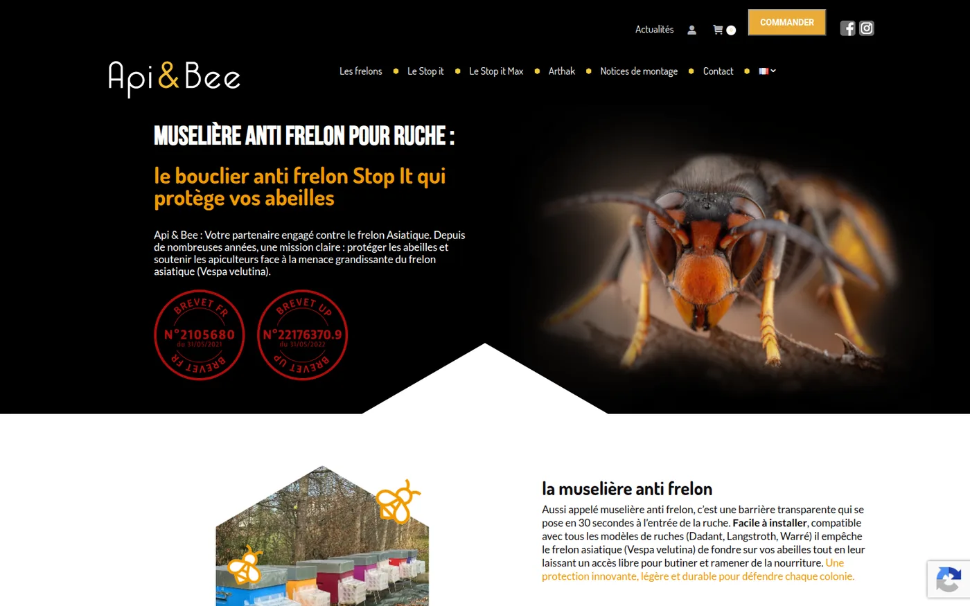 Site API & Bee
